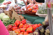 بالصور: افتتاح سوق المزارعين في ميناء يافا 